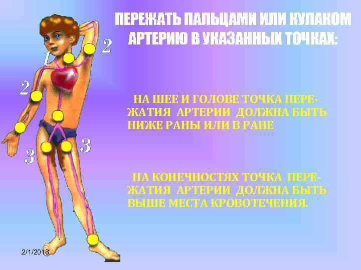 ПЕРЕЖАТЬ ПАЛЬЦАМИ ИЛИ КУЛАКОМ АРТЕРИЮ В УКАЗАННЫХ ТОЧКАХ: НА ШЕЕ И ГОЛОВЕ ТОЧКА ПЕРЕЖАТИЯ