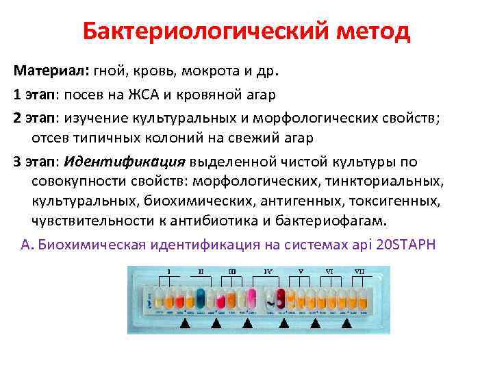 Бактериологический метод Материал: гной, кровь, мокрота и др. 1 этап: посев на ЖСА и