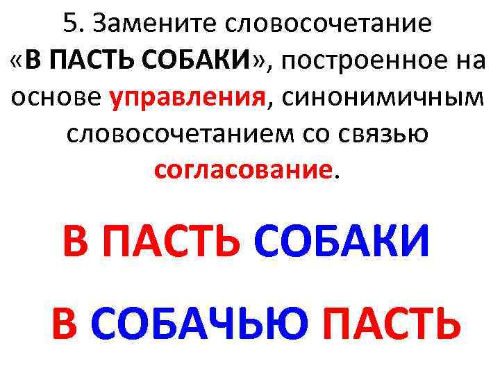 Словосочетание собаку