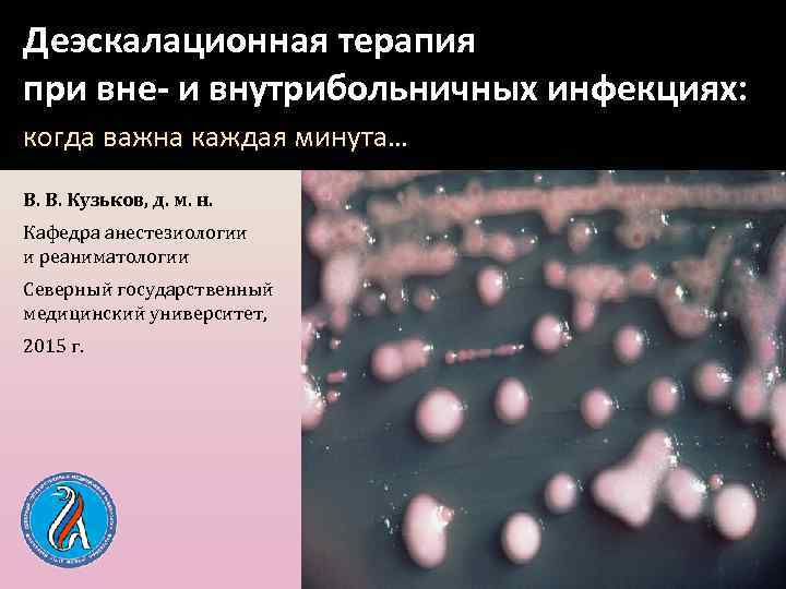 Деэскалационная терапия при вне- и внутрибольничных инфекциях: когда важна каждая минута… В. В. Кузьков,