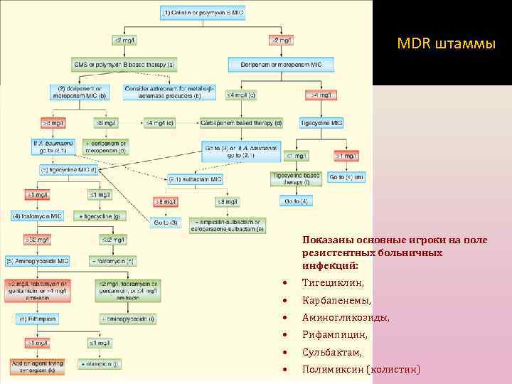 MDR штаммы Показаны основные игроки на поле резистентных больничных инфекций: • Тигециклин, • Карбапенемы,