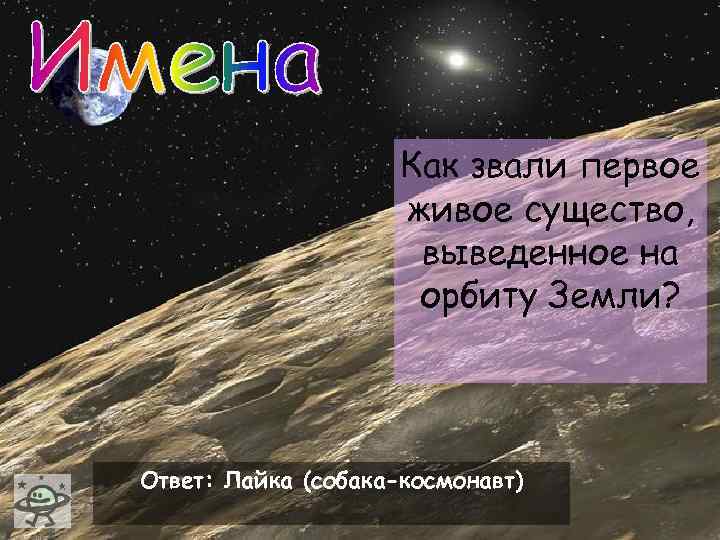 Как звали первое живое существо, выведенное на орбиту Земли? Ответ: Лайка (собака-космонавт) 