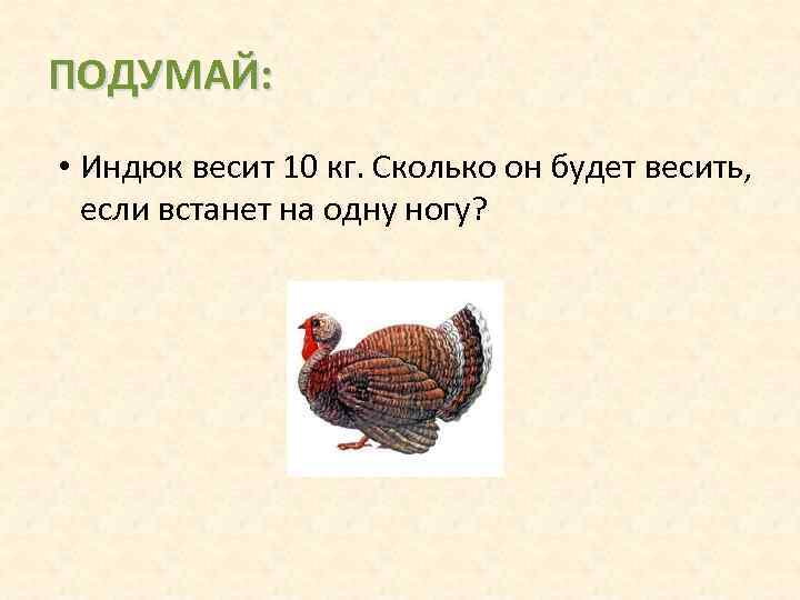 ПОДУМАЙ: • Индюк весит 10 кг. Сколько он будет весить, если встанет на одну