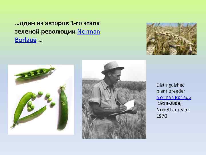 …один из авторов 3 -го этапа зеленой революции Norman Borlaug … Distinguished plant breeder