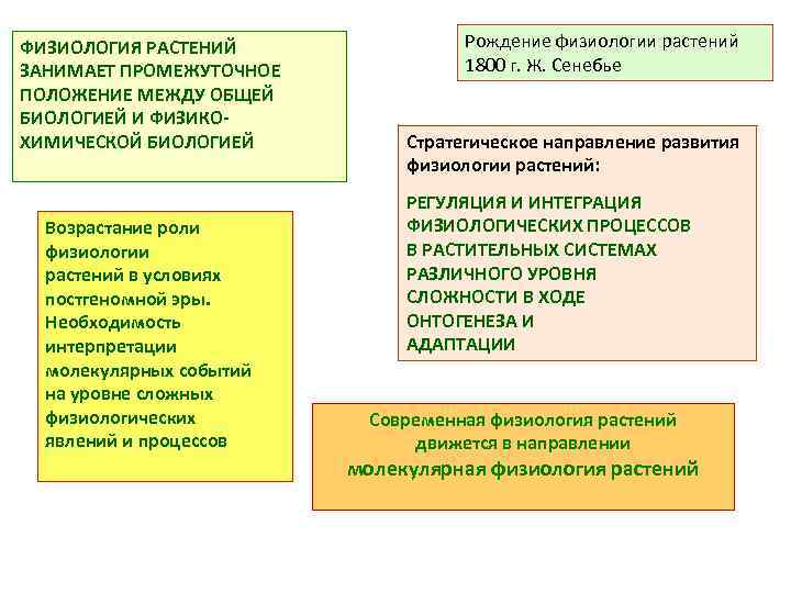 ФИЗИОЛОГИЯ РАСТЕНИЙ ЗАНИМАЕТ ПРОМЕЖУТОЧНОЕ ПОЛОЖЕНИЕ МЕЖДУ ОБЩЕЙ БИОЛОГИЕЙ И ФИЗИКОХИМИЧЕСКОЙ БИОЛОГИЕЙ Возрастание роли физиологии