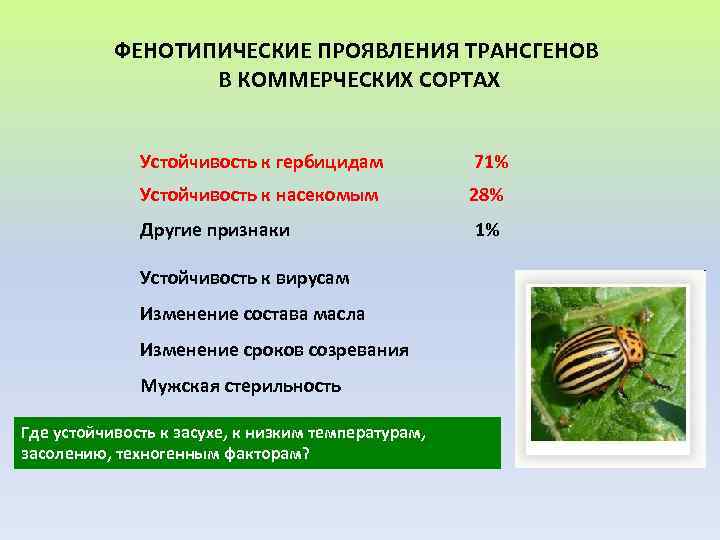 ФЕНОТИПИЧЕСКИЕ ПРОЯВЛЕНИЯ ТРАНСГЕНОВ В КОММЕРЧЕСКИХ СОРТАХ Устойчивость к гербицидам 71% Устойчивость к насекомым 28%