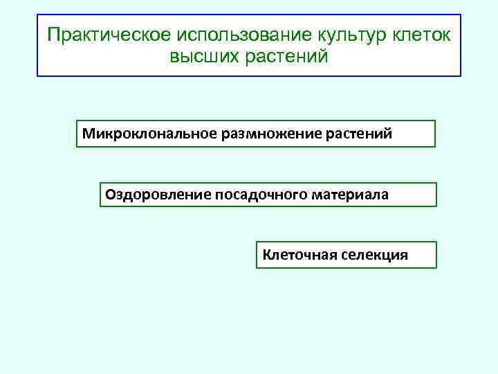 Практическое использование культур клеток высших растений Микроклональное размножение растений Оздоровление посадочного материала Клеточная селекция