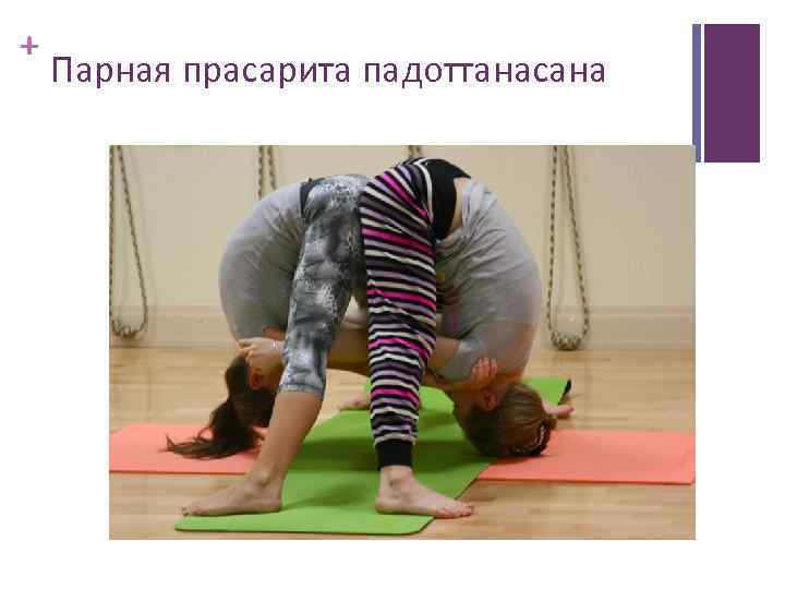 + Парная прасарита падоттанасана 
