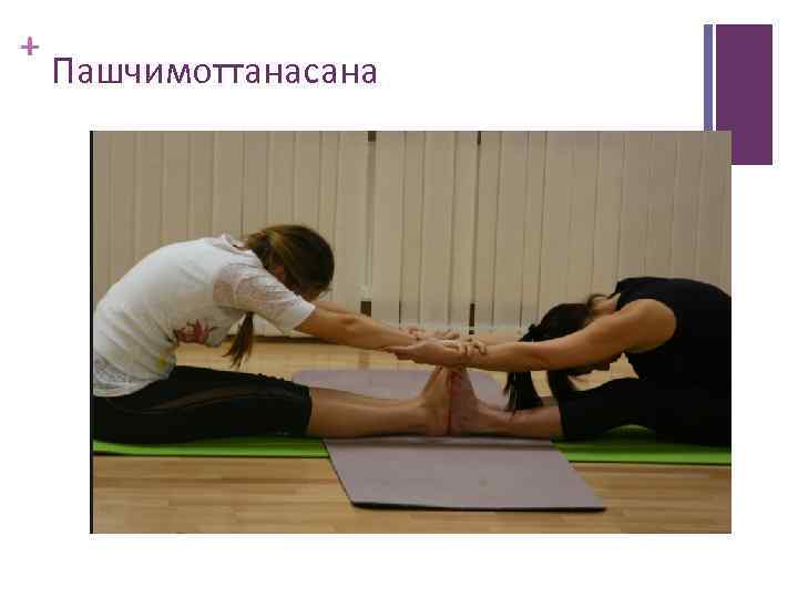 + Пашчимоттанасана 