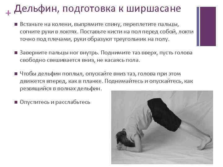 + Дельфин, подготовка к ширшасане Встаньте на колени, выпрямите спину, переплетите пальцы, согните руки