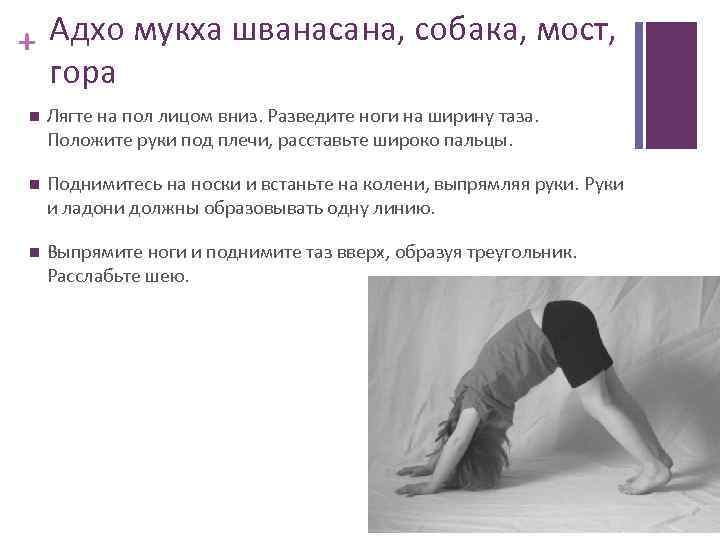 + Адхо мукха шванасана, собака, мост, гора Лягте на пол лицом вниз. Разведите ноги