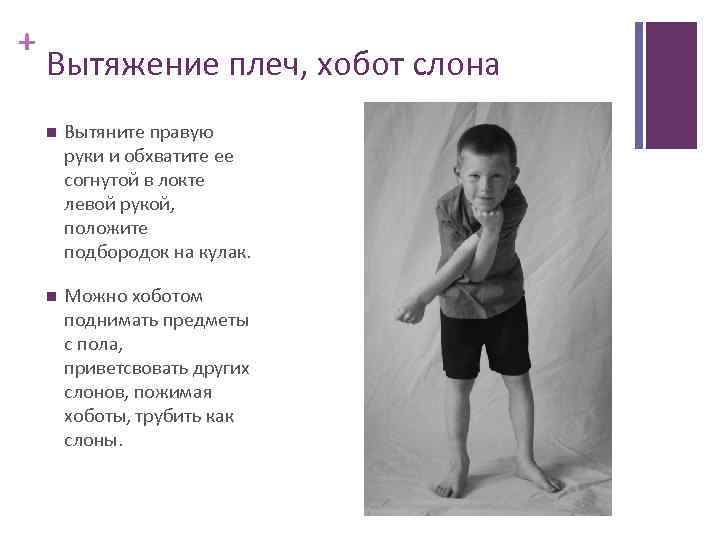 + Вытяжение плеч, хобот слона Вытяните правую руки и обхватите ее согнутой в локте