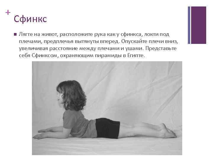 + Сфинкс Лягте на живот, расположите рука как у сфинкса, локти под плечами, предплечья