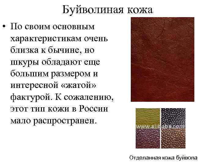 Буйволиная кожа • По своим основным характеристикам очень близка к бычине, но шкуры обладают