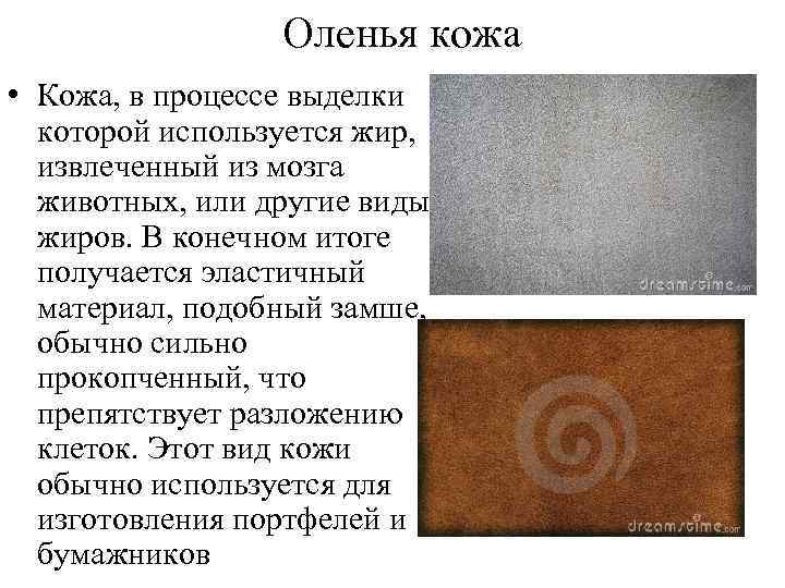 Оленья кожа • Кожа, в процессе выделки которой используется жир, извлеченный из мозга животных,