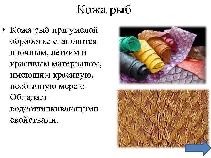 Кожа рыб • Кожа рыб при умелой обработке становится прочным, легким и красивым материалом,