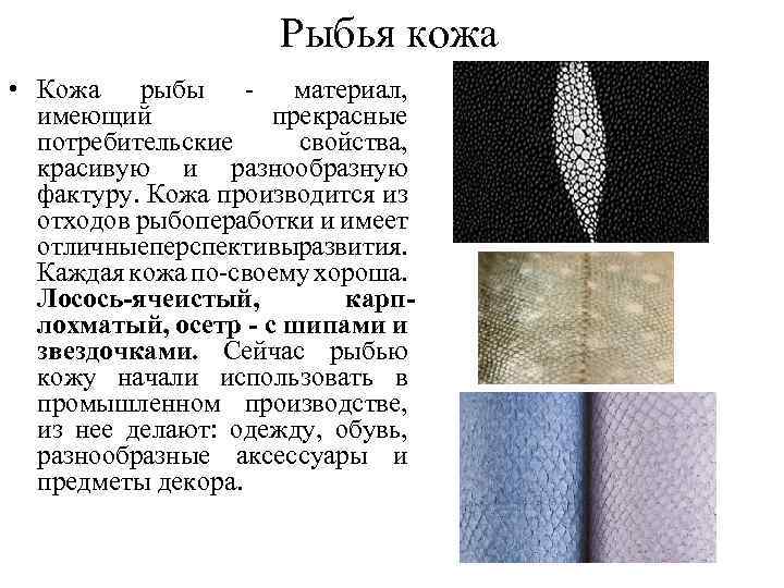 Рыбья кожа • Кожа рыбы - материал, имеющий прекрасные потребительские свойства, красивую и разнообразную