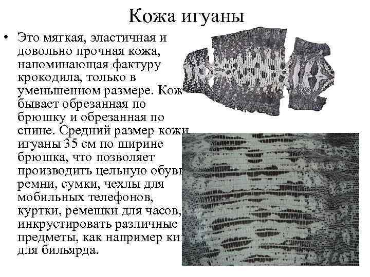 Кожа игуаны • Это мягкая, эластичная и довольно прочная кожа, напоминающая фактуру крокодила, только
