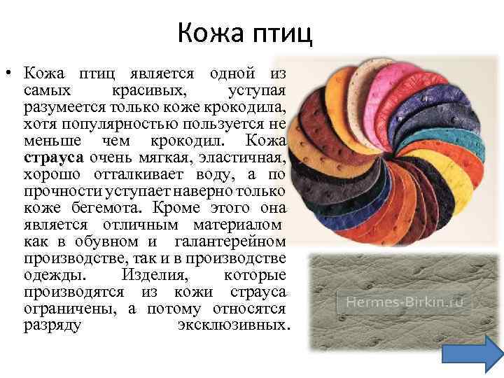 Кожа птиц • Кожа птиц является одной из самых красивых, уступая разумеется только коже