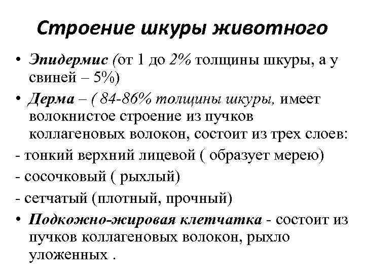 Строение шкуры животного • Эпидермис (oт 1 до 2% толщины шкуры, а у свиней
