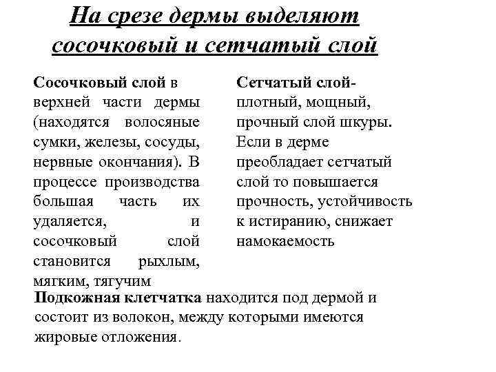 На срезе дермы выделяют сосочковый и сетчатый слой Сосочковый слой в Сетчатый слой- верхней