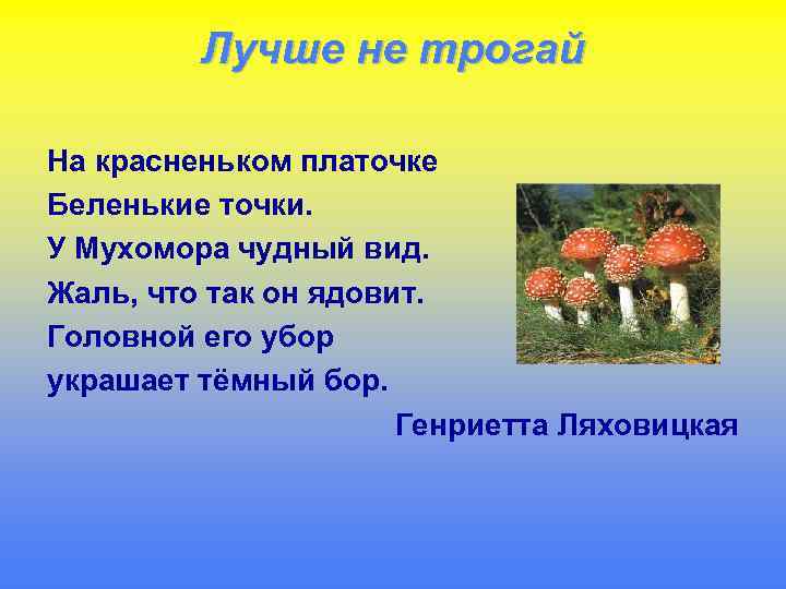 Лучше не трогай На красненьком платочке Беленькие точки. У Мухомора чудный вид. Жаль, что