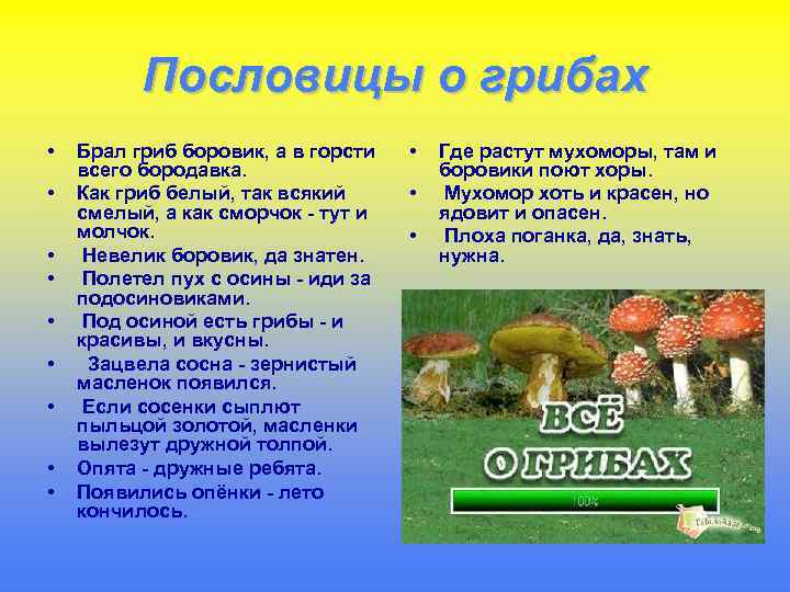 Пословицы о грибах • • • Брал гриб боровик, а в горсти всего бородавка.