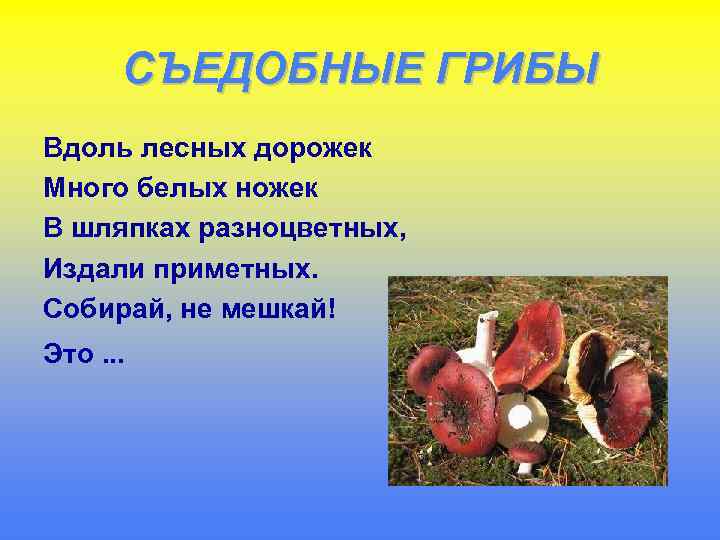 СЪЕДОБНЫЕ ГРИБЫ Вдоль лесных дорожек Много белых ножек В шляпках разноцветных, Издали приметных. Собирай,