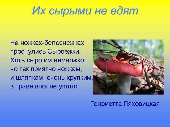 Их сырыми не едят На ножках-белоснежках проснулись Сыроежки. Хоть сыро им немножко, но так
