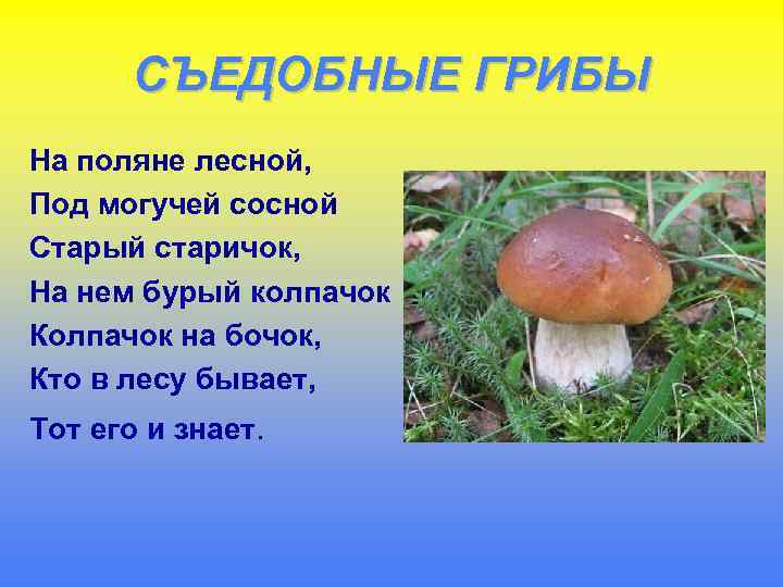 СЪЕДОБНЫЕ ГРИБЫ На поляне лесной, Под могучей сосной Старый старичок, На нем бурый колпачок