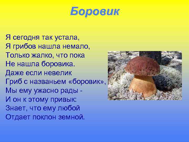 Боровик Я сегодня так устала, Я грибов нашла немало, Только жалко, что пока Не