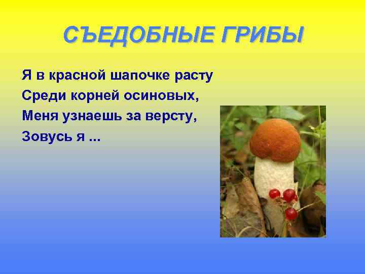 СЪЕДОБНЫЕ ГРИБЫ Я в красной шапочке расту Среди корней осиновых, Меня узнаешь за версту,
