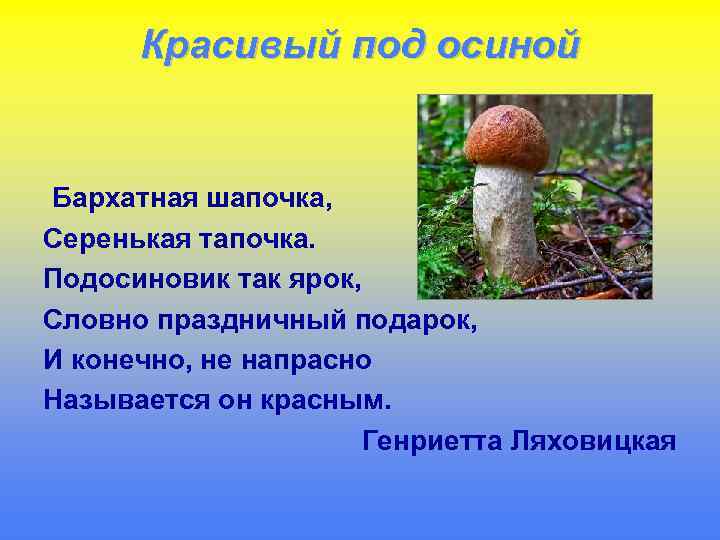 Красивый под осиной Бархатная шапочка, Серенькая тапочка. Подосиновик так ярок, Словно праздничный подарок, И