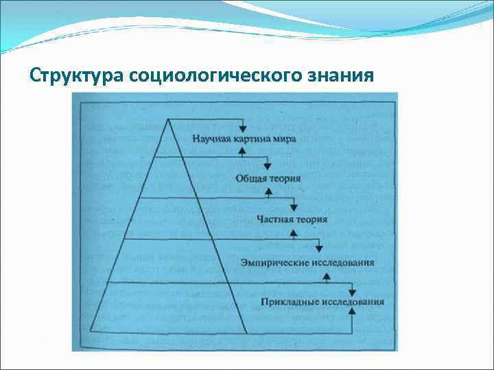 Схема структурных связей социологического знания