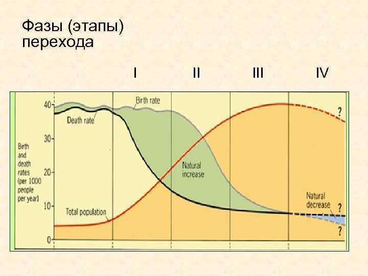 Фазы (этапы) перехода III IV 