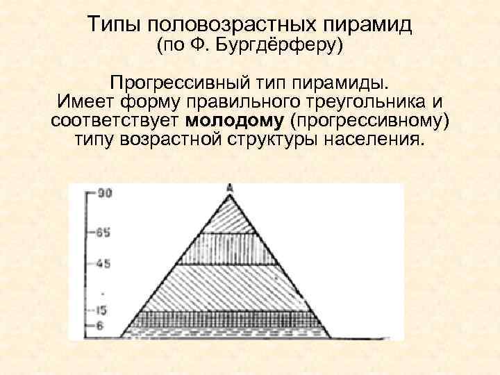 Типы половозрастных пирамид (по Ф. Бургдёрферу) Прогрессивный тип пирамиды. Имеет форму правильного треугольника и