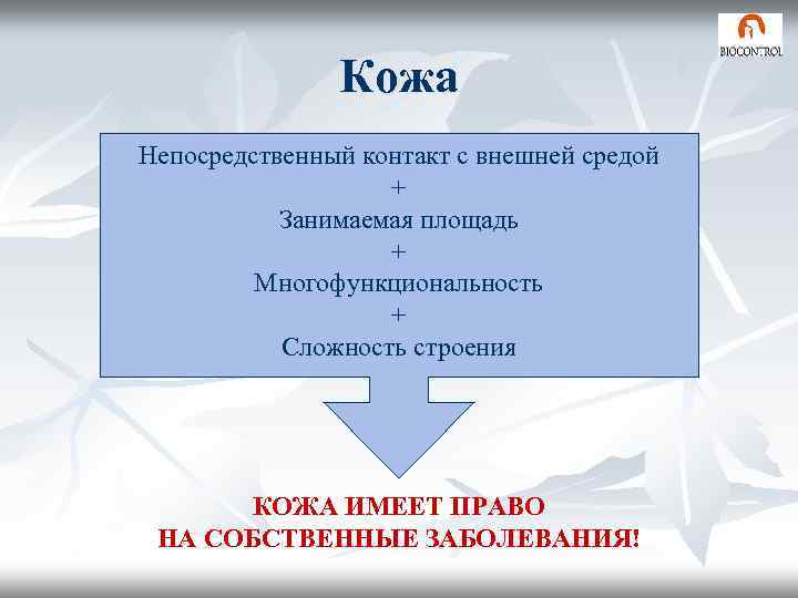 Кожа Непосредственный контакт с внешней средой + Занимаемая площадь + Многофункциональность + Сложность строения