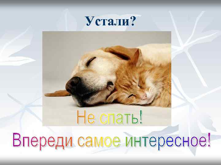 Устали? 