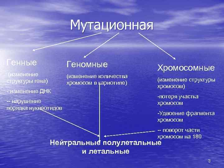 Мутационная Генные Геномные (изменение структуры гена) (изменение количества хромосом в кариотипе) - изменение ДНК