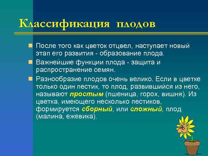 Классификация плодов n После того как цветок отцвел, наступает новый этап его развития -