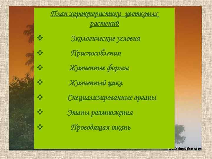 План характеристики цветковых растений v Экологические условия v Приспособления v Жизненные формы v Жизненный