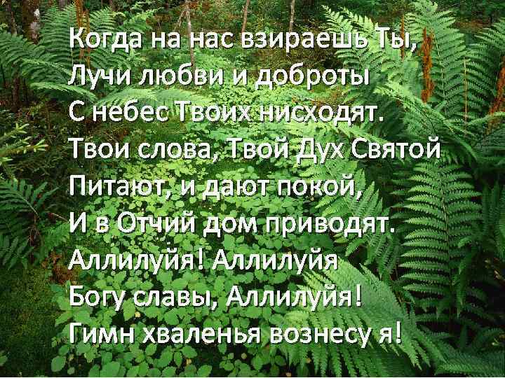 Когда на нас взираешь Ты, Лучи любви и доброты С небес Твоих нисходят. Твои