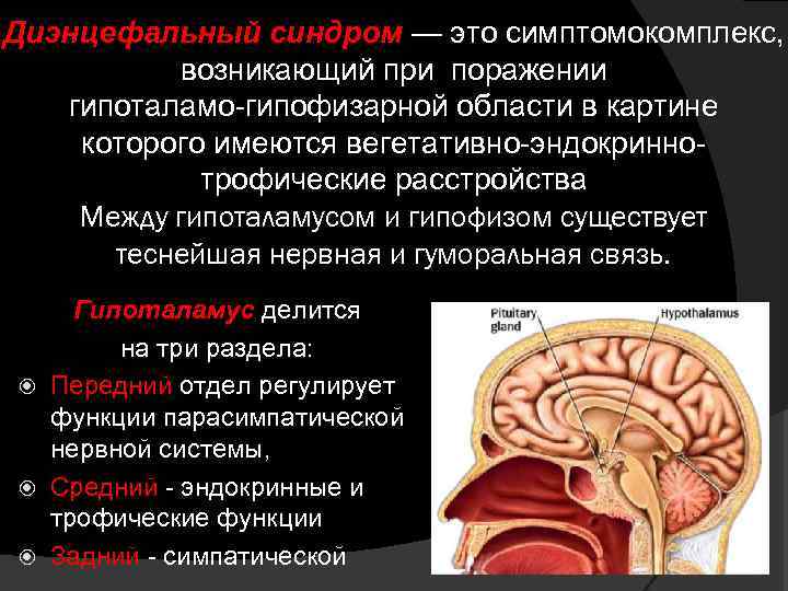Диэнцефальная дисфункция головного мозга. Диэнцефально гипоталамический синдром. Поражения головного мозга. Гипоталамические синдромы.. Синдромы поражения диэнцефальных структур.
