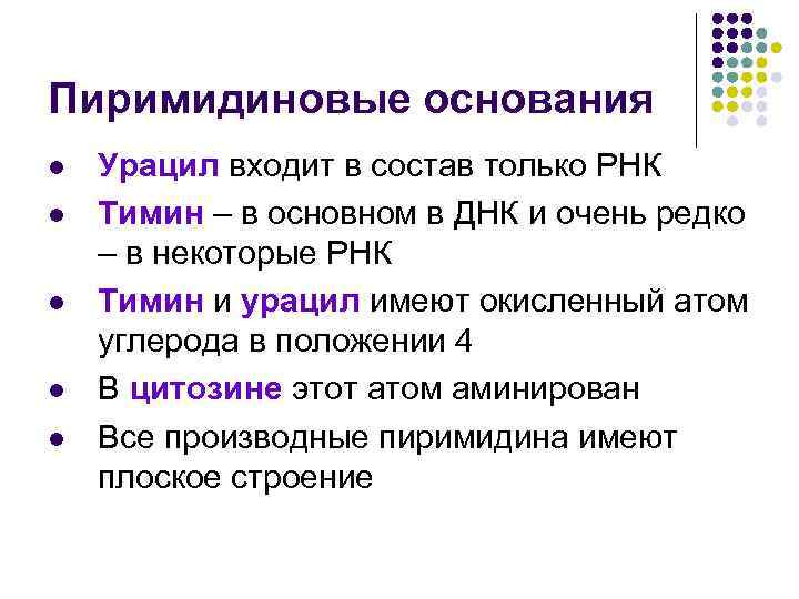 Пиримидиновые основания l l l Урацил входит в состав только РНК Тимин – в