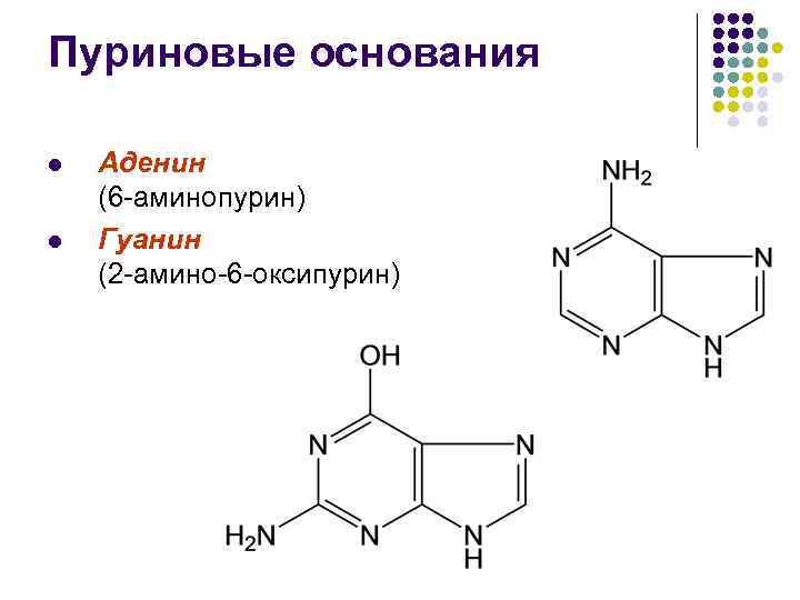 Жиры нуклеиновые кислоты