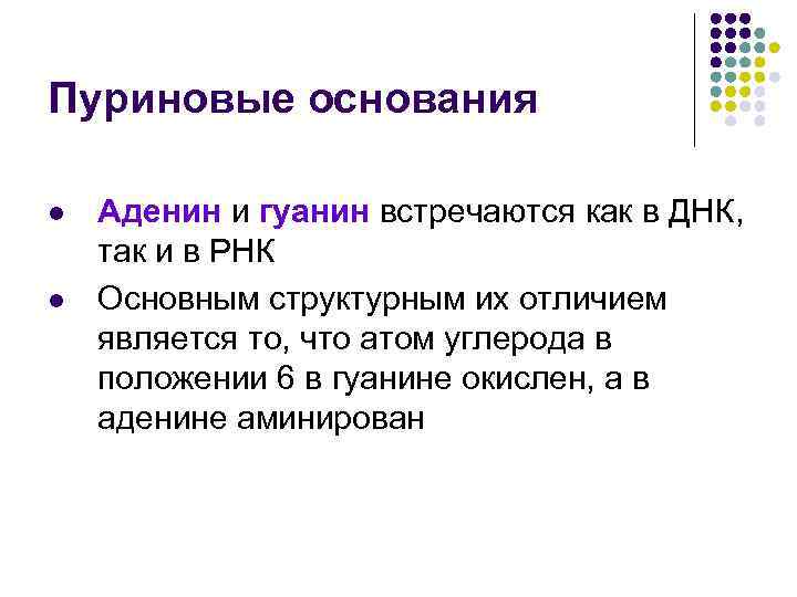 Пуриновые основания l l Аденин и гуанин встречаются как в ДНК, так и в