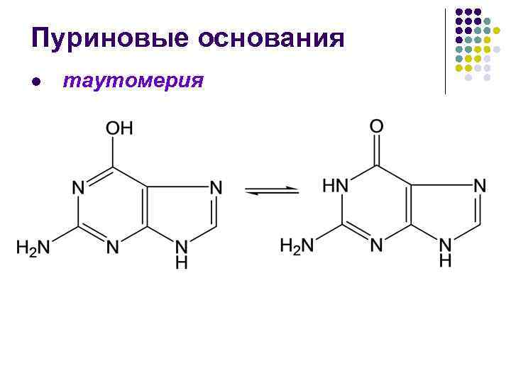 Схема пуринового обмена