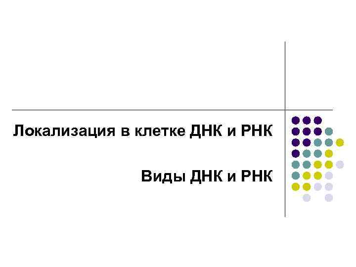 Локализация в клетке ДНК и РНК Виды ДНК и РНК 