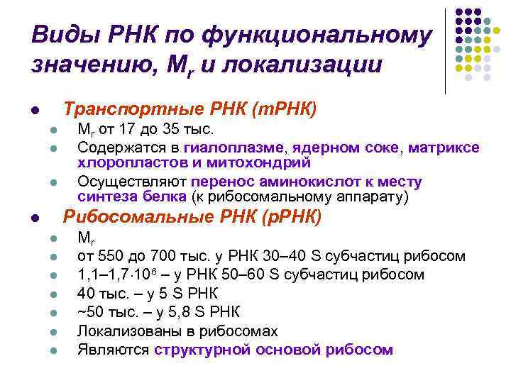 Виды РНК по функциональному значению, Мr и локализации Транспортные РНК (т. РНК) l l