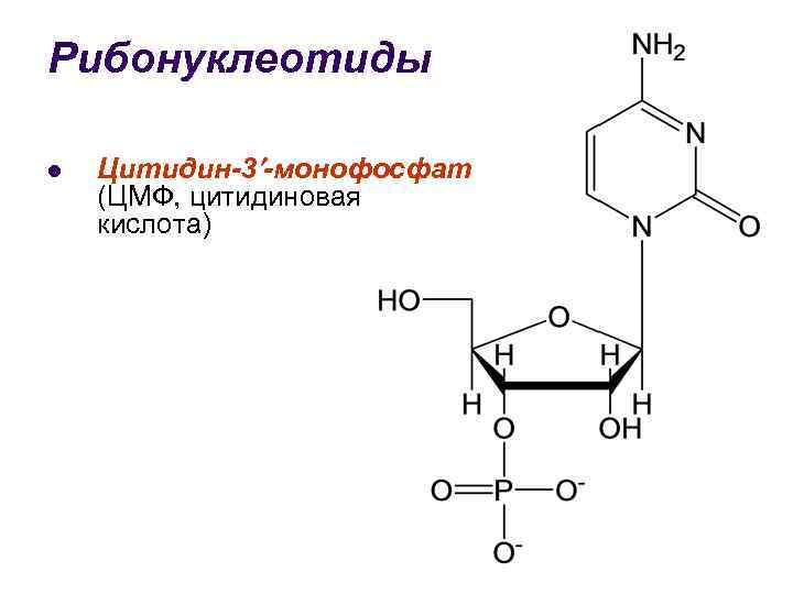 Схема гидролиза нуклеиновых кислот